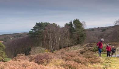 National Trust West Runton & Beeston Regis Heath
