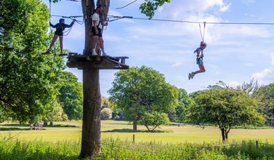 Holkham Ropes Course, North Norfolk