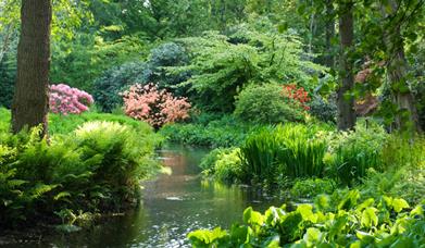 Hoveton Hall Gardens