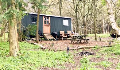 North Norfolk Glamping - mYminiBreak