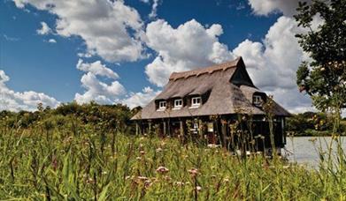 NWT Broads Wildlife Centre