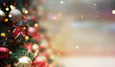 Christmas Family Event at ROARR! in Norwich