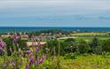 Kelling Heath View