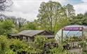Natural Surroundings Cafe