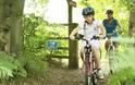 Broadland Cycle Hire