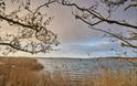 NWT Hickling Broad