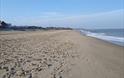 Walcott beach