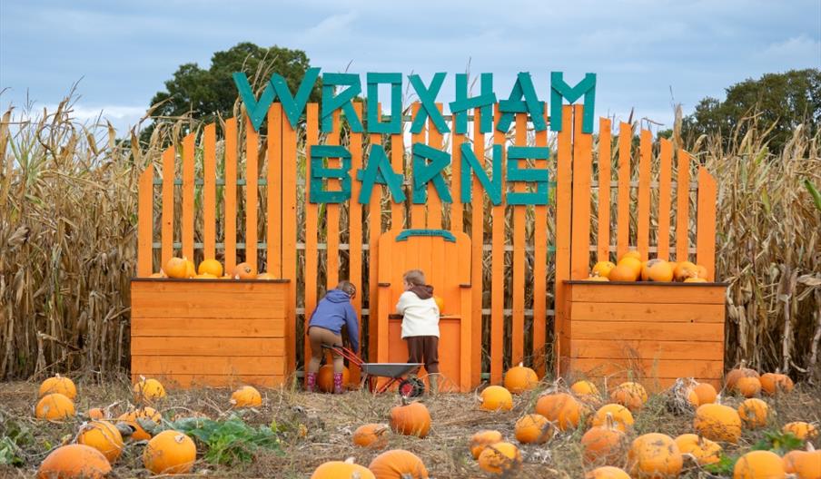 Pumpkin Patch at Wroxham Barns