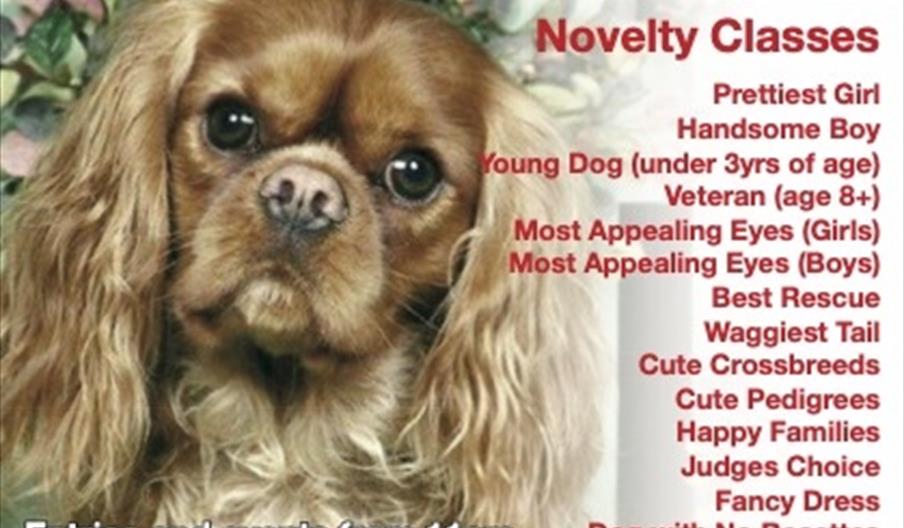 The Hunstanton Fun Dog Show