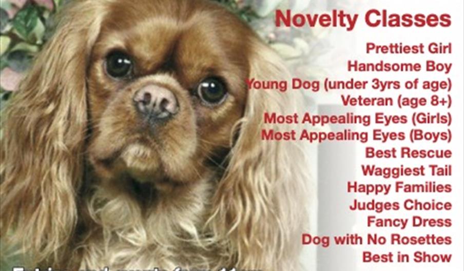 Fun Dog Show Schedule