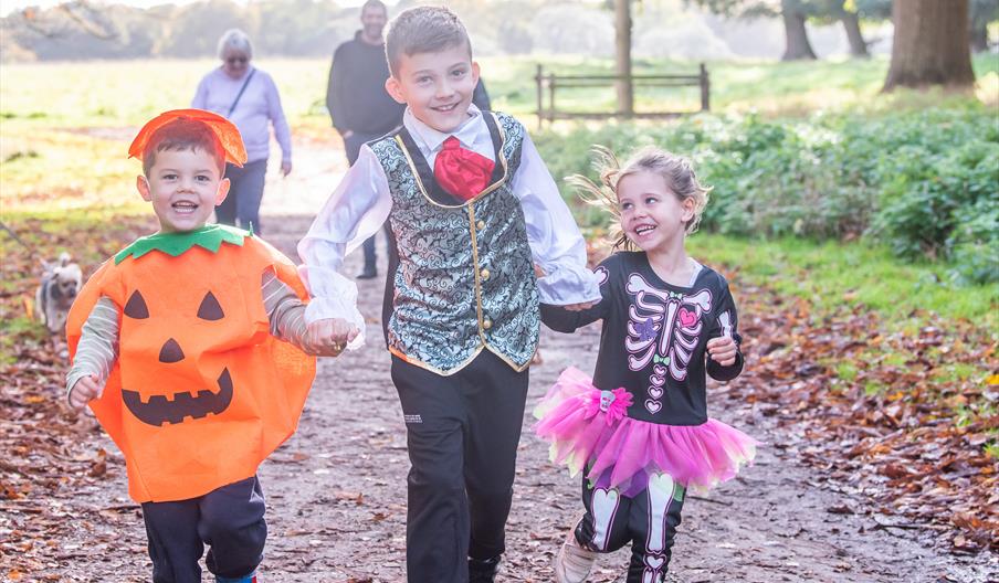 Three children dressed in Halloween costumes run hand in hand, smiling, towards the camera in a wooded park.