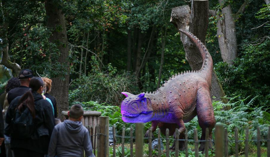 Dinos in the dark at ROARR!