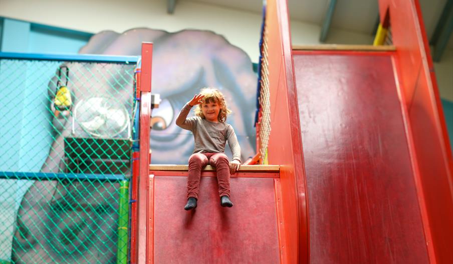 Dippy's After School Adventure