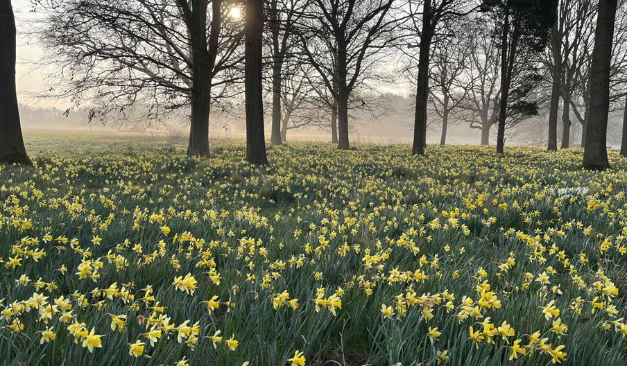 Hoveton Hall Gardens