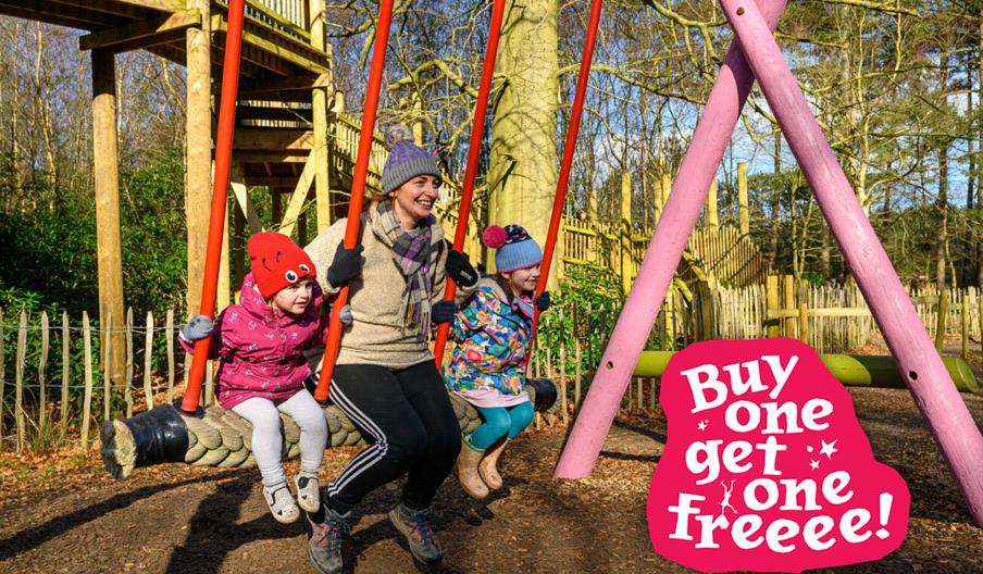 A family sitting on a swing in the woods, a small Buy One Get One Free graphic in the bottom right corner