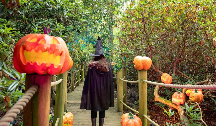Halloween at BeWILDerwood