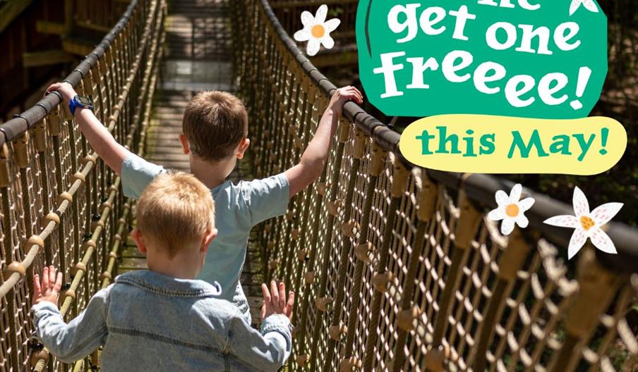 Two children walking across a rope bridge