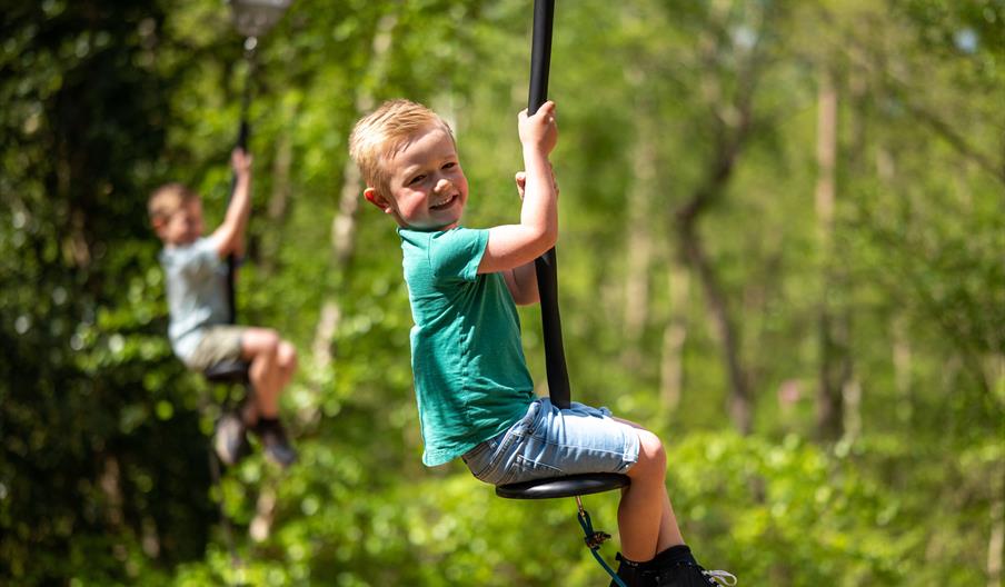 Zip Lines at BeWILDerwood Norfolk