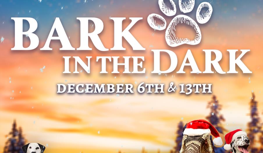 Bark in the Dark at ROARR!