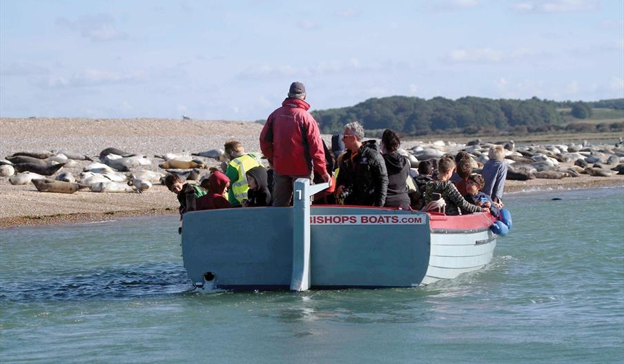 Bishops Boats - Seal Trips