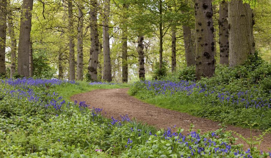 Head out on a social walk at Blickling Estate