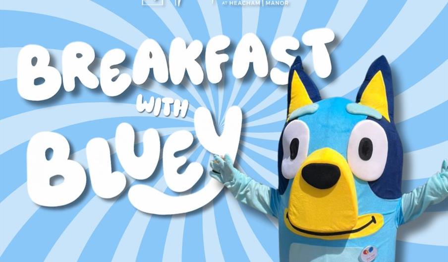 Bluey Character with wording 'Breakfast with Bluey'