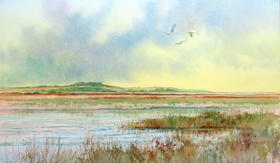 Cley Spoonbill Flight
