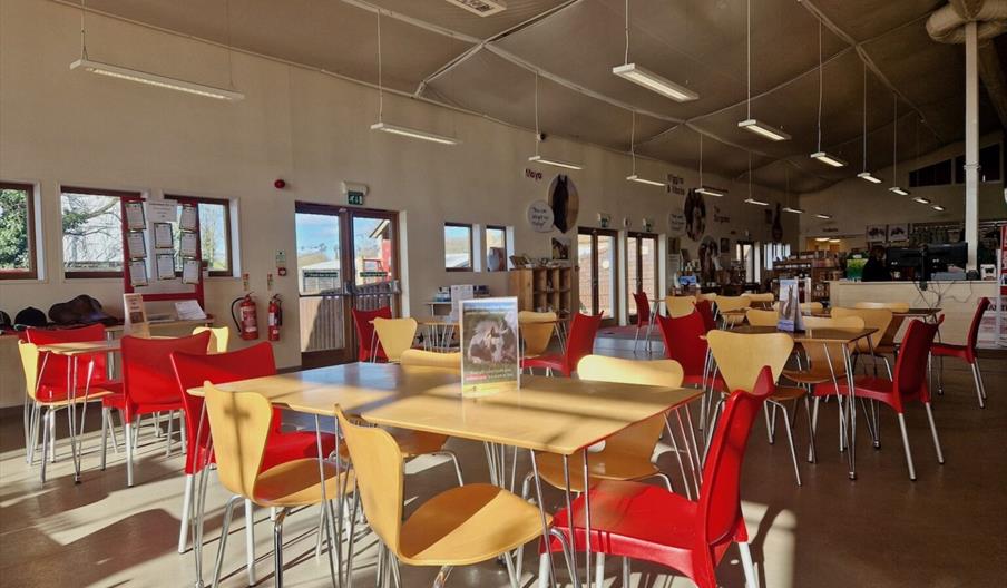 Gullivers Cafe at Redwings Aylsham North Norfolk