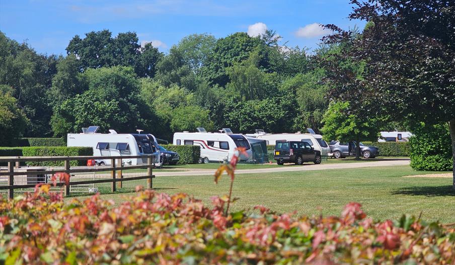 Caravan pitches at Deer's Glade