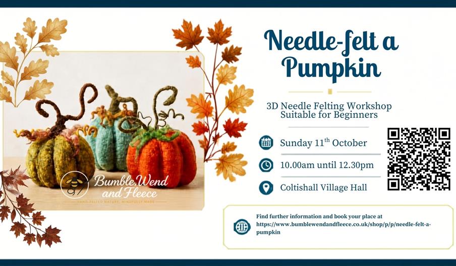 Needle-felt a pumpkin beginner workshop at Coltishall Village Hall, Sunday 11th October, 10am -12.30pm, £30 per person featuring colourful, handmade f