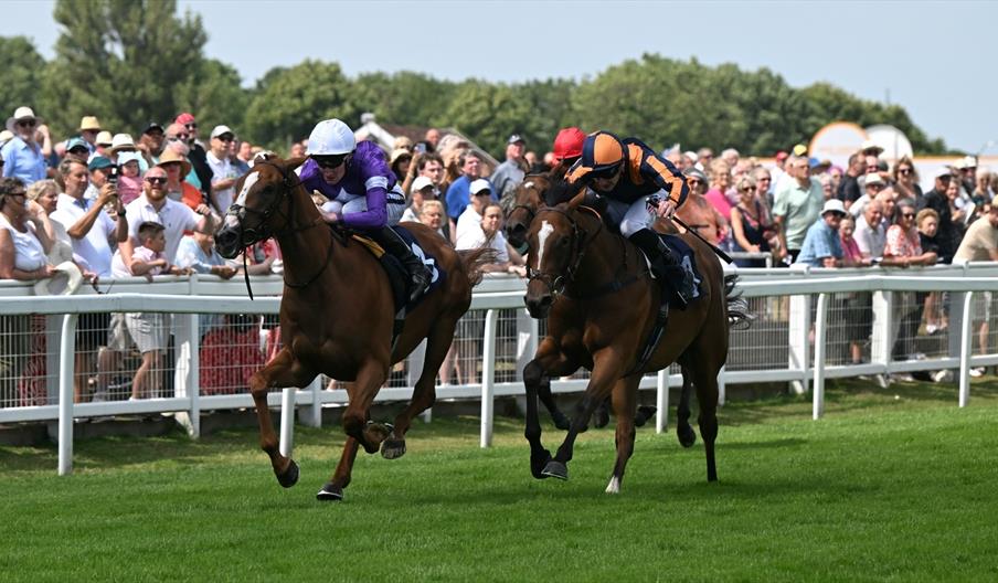 Crowds cheer on racing at Great Yarmouth Racecourse