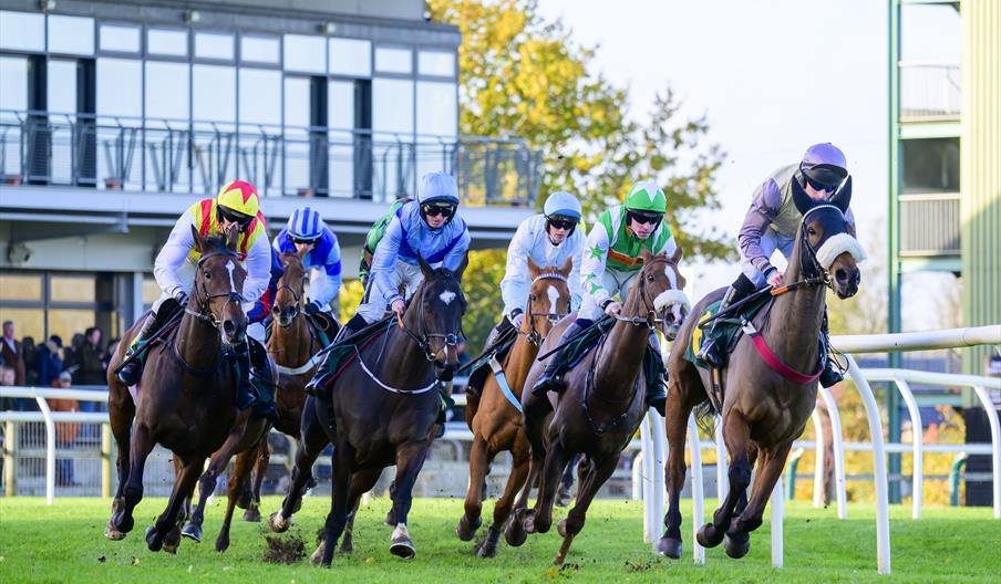 Horse racing at Fakenham Racecourse - passing the Prince of Wales Stand