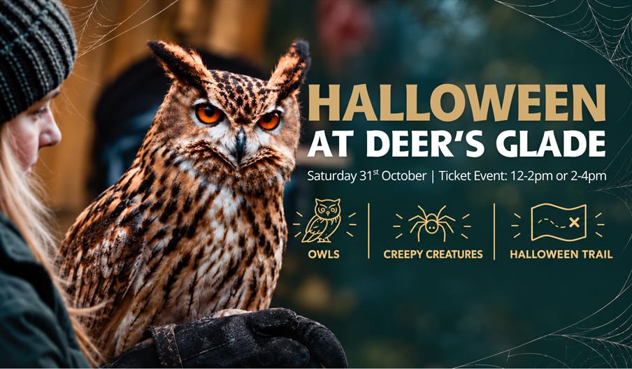 Deer's Glade Halloween Event, Meet Owls, Creepy Crawlies and Visit the Trail