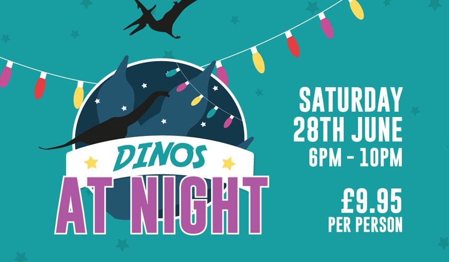 Dinos at Night