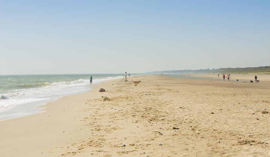 Winterton