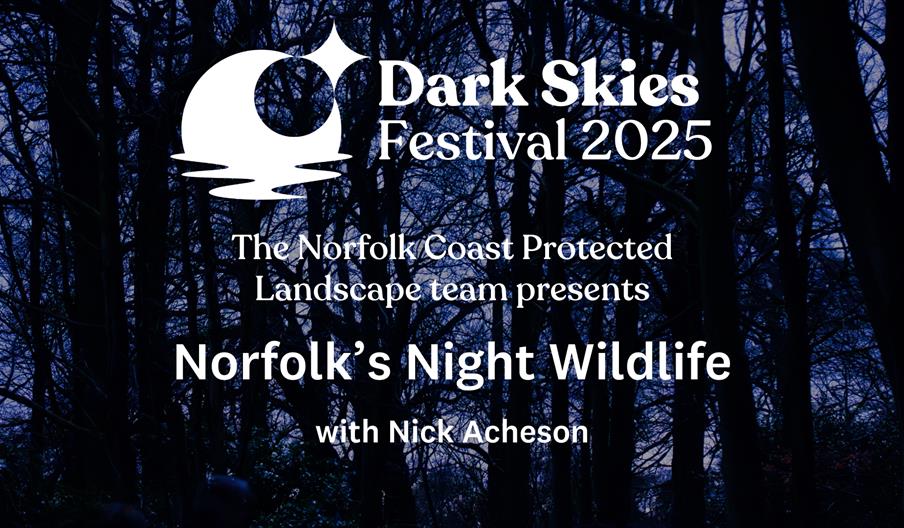 A nighttime woodland background with overlaying text of the event title