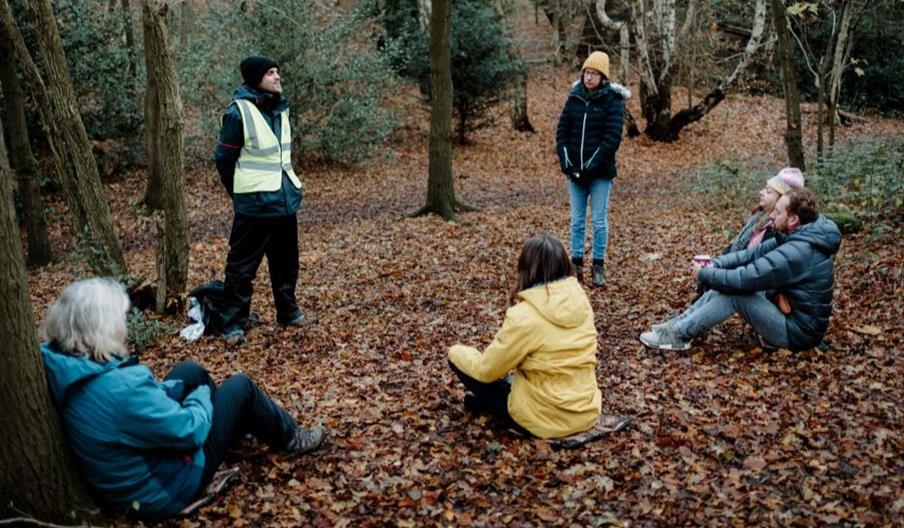 Forest bathing at Deepdale Farm