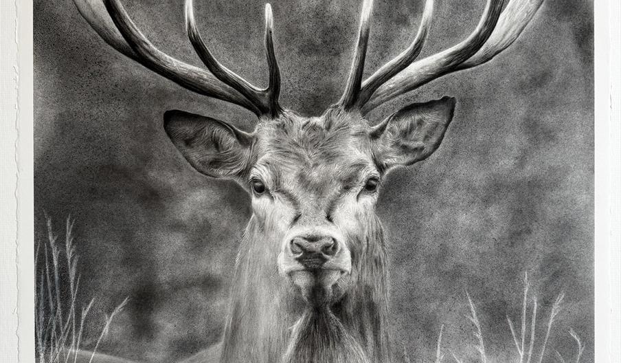 GUNTON STAG