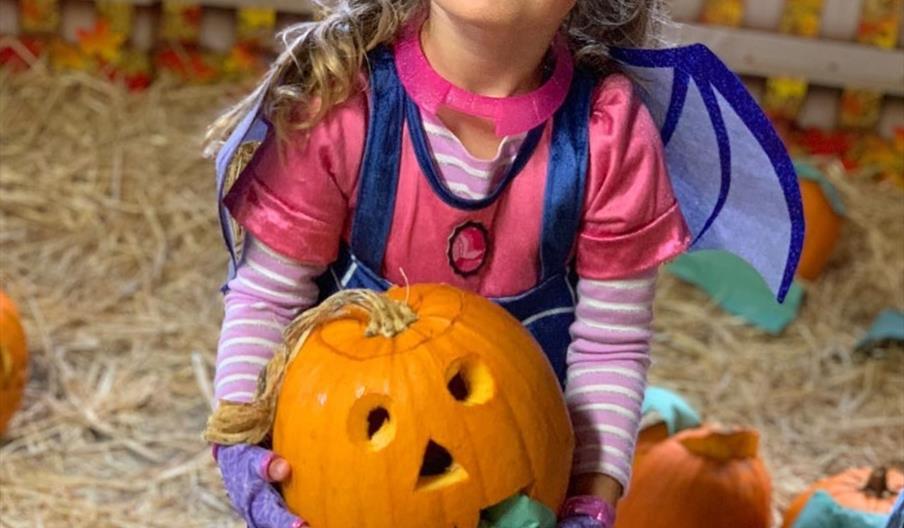 October Half Term at Wroxham Barns