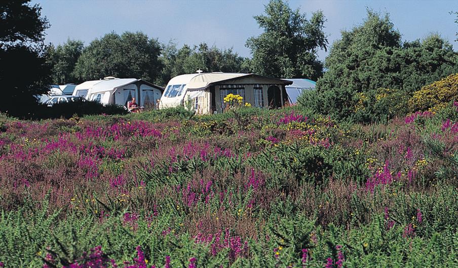 Kelling Heath Holiday Park Touring and Camping Pitches