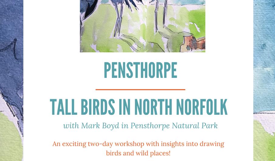 Two days of wildlife sketching with artist Mark Boyd at Pensthorpe Natural Park