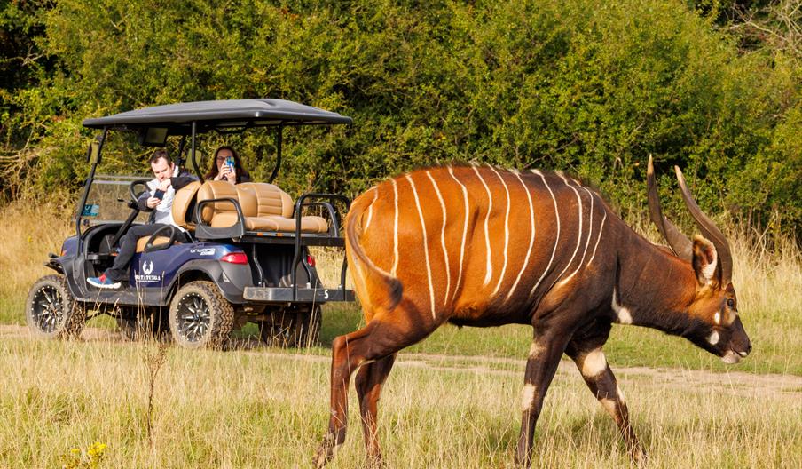 Watatunga Wildlife Reserve