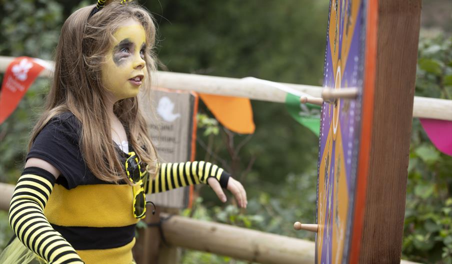 'Buzz' - A Bee-rilliant adventure!