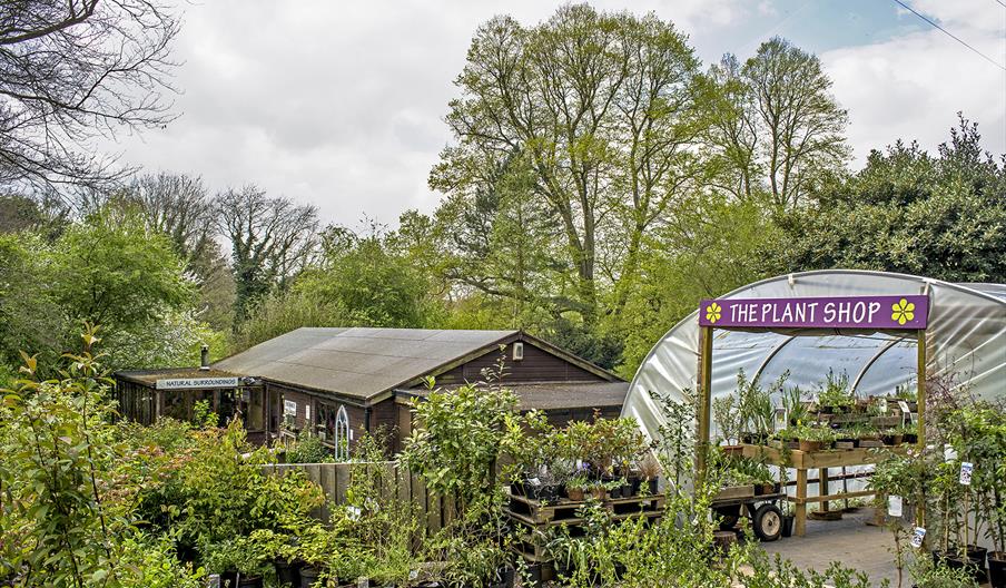 Natural Surroundings Nursery