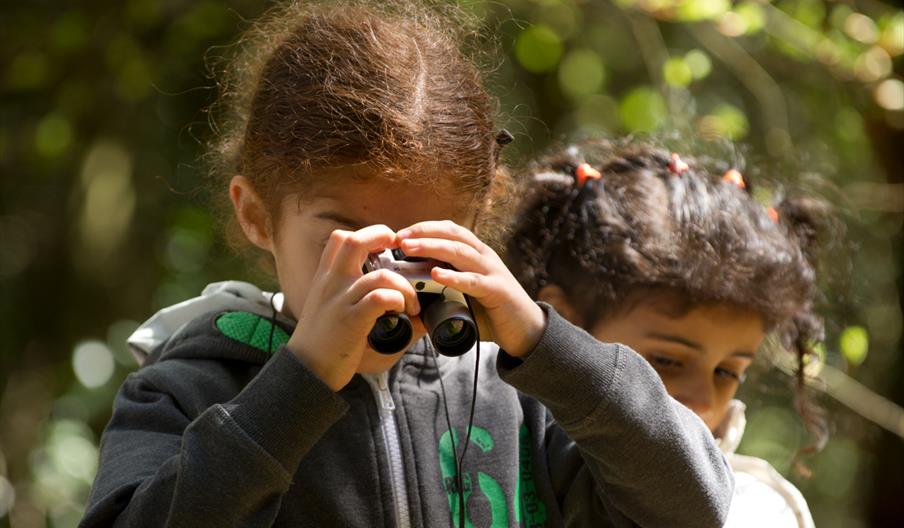 Join for a nature walk at Blickling Estate