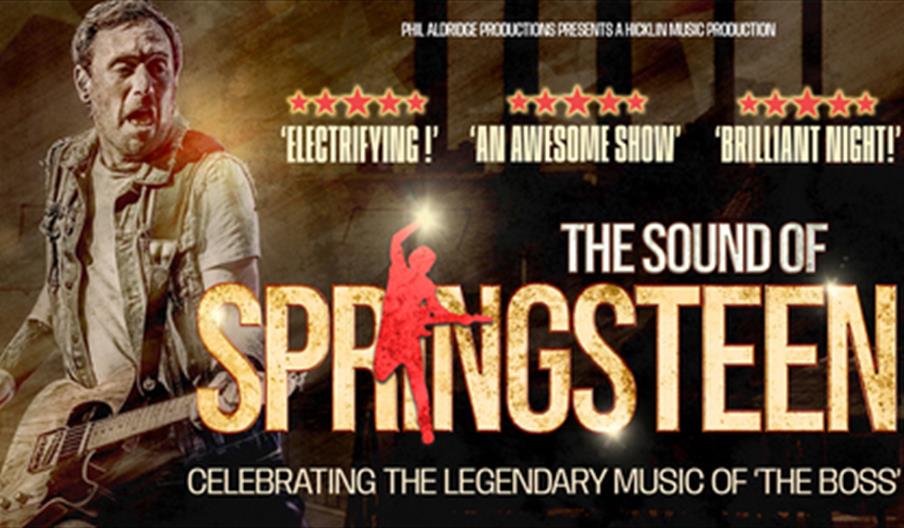 Bruce Springsteen Tribute