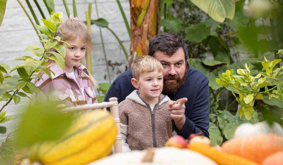 A father and his two children in the Holkham Halloween Garden