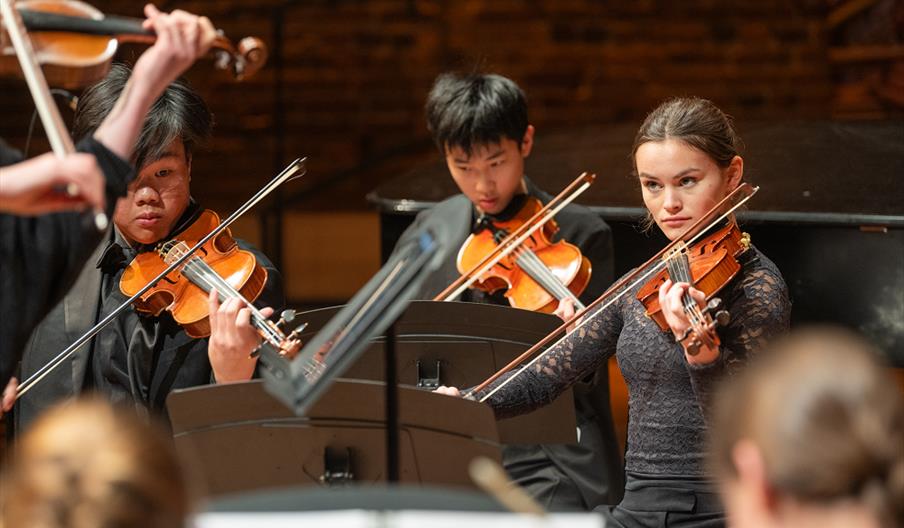 A group of musicians playing in a concert