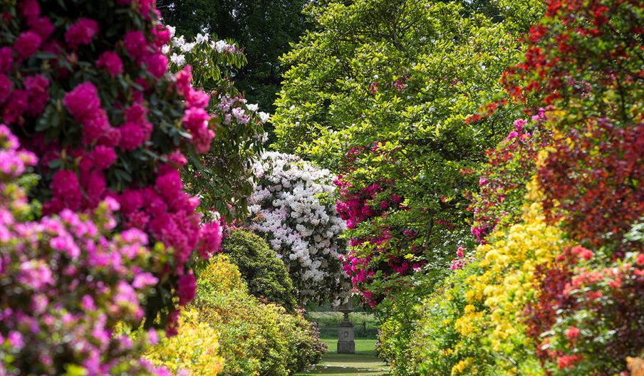 Stody Lodge Gardens