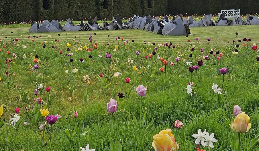 Tulips at Houghton Hall Walled Garden